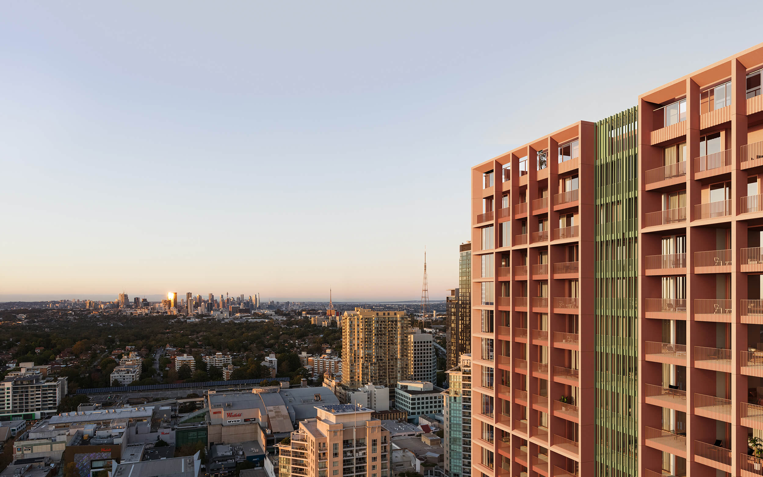The Angophora. Architecture by Carter Williamson Architects, Landscape by Land and Form Studios